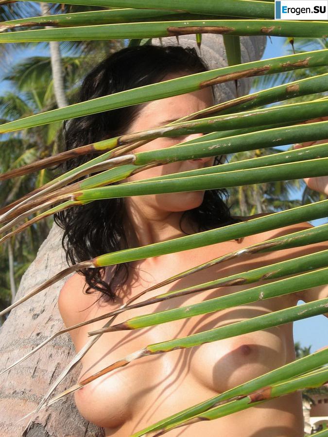 beach deja vu. Photo 12