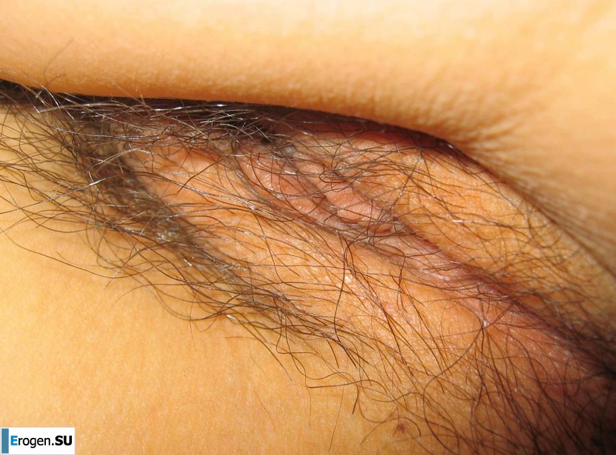 juicy Asian. Photo 13