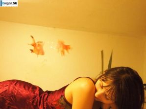 Sly fox with a playful look. Thumb 36