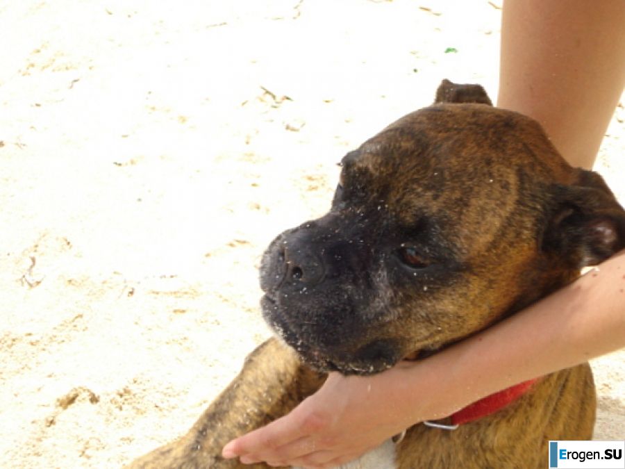 Lesbian on vacation with a friend. Part 3. Photo 37