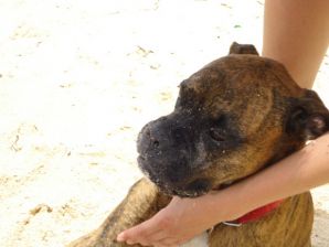 Lesbian on vacation with a friend. Part 3. Thumb 37