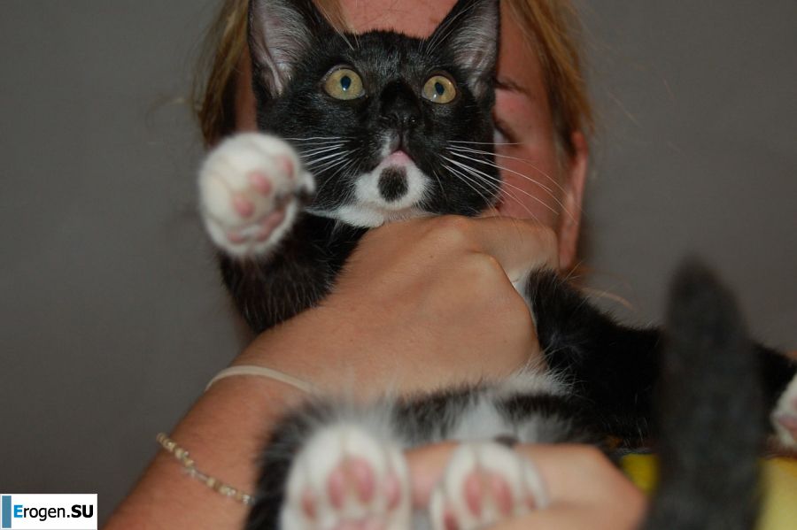 and what's under the skirt. Photo 30