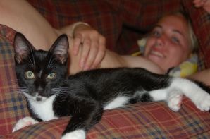 and what's under the skirt. Thumb 10