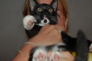 and what's under the skirt. Thumb 30