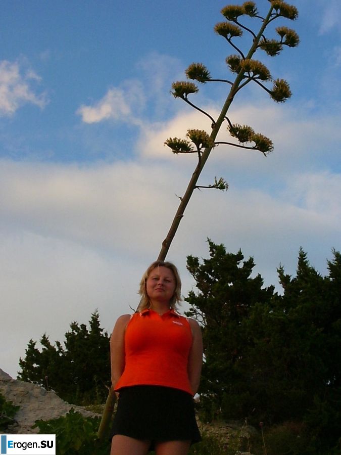 sex for money. Photo 11