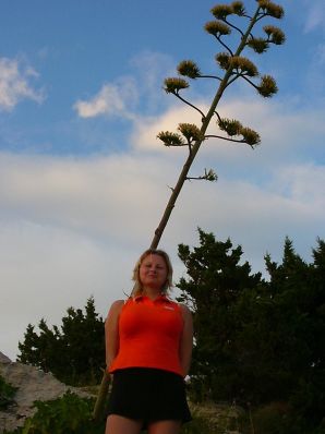 sex for money. Thumb 11