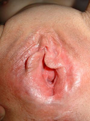 розовое покрывала и чья то киска. Эскиз 38