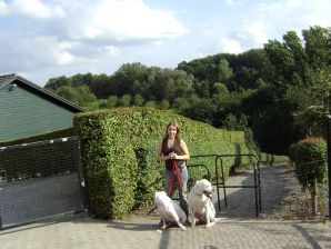 легкие кривляния и легкие раздевания. Часть 2. Эскиз 39