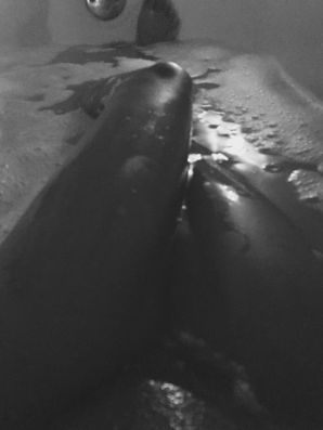 uncut black woman Lezzby. Part 3. Thumb 29