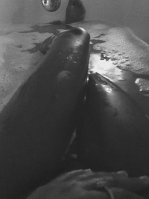 uncut black woman Lezzby. Part 3. Thumb 30