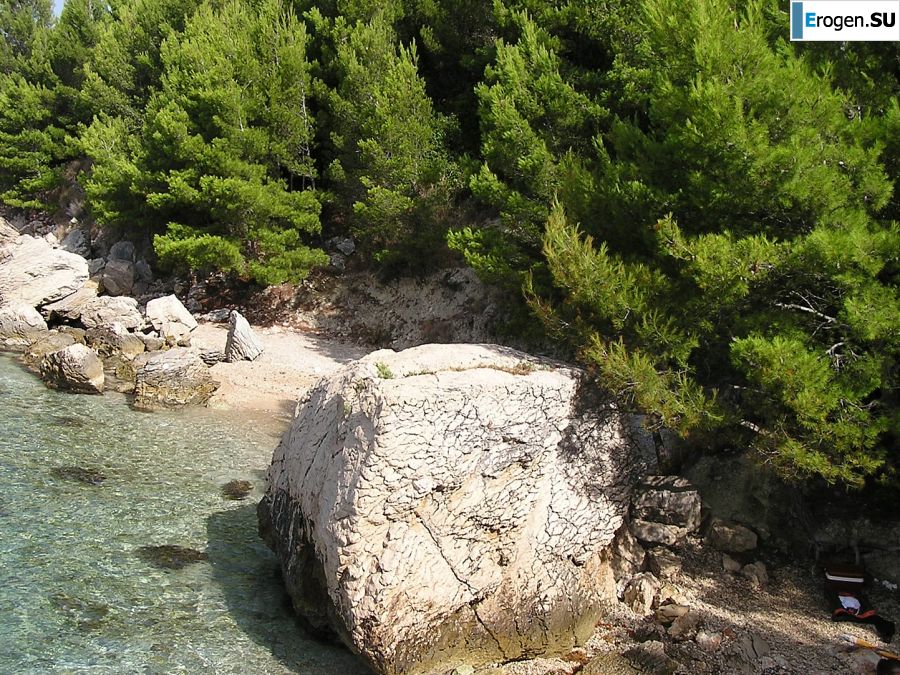 Спортивная студентка разделась на пляже и искупалась нагишом. Фото 25