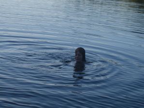 Naughty student with a furry pussy naked bathes in the lake. Thumb 5