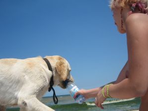 Appetizing chicks of a prostitute arrived on call on Friday night. Part 2. Thumb 37