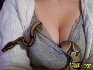 Passionate minx dances striptease in nature with a snake. Thumb 42