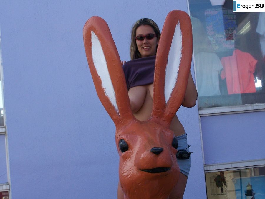 Luxurious blondes with magnificent breasts caress each other and expose themselves. Part 3. Photo 29