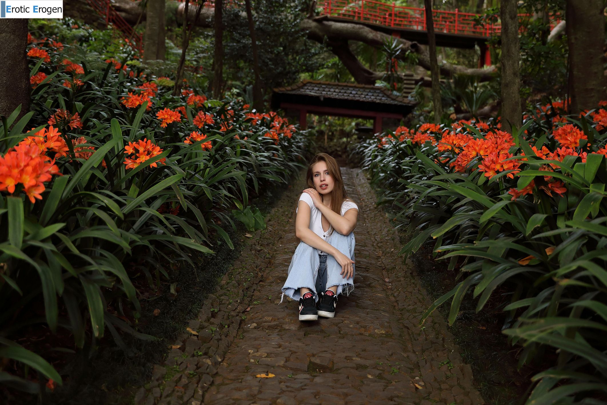 Aristeia in Postcard From Funchal. Фото 26