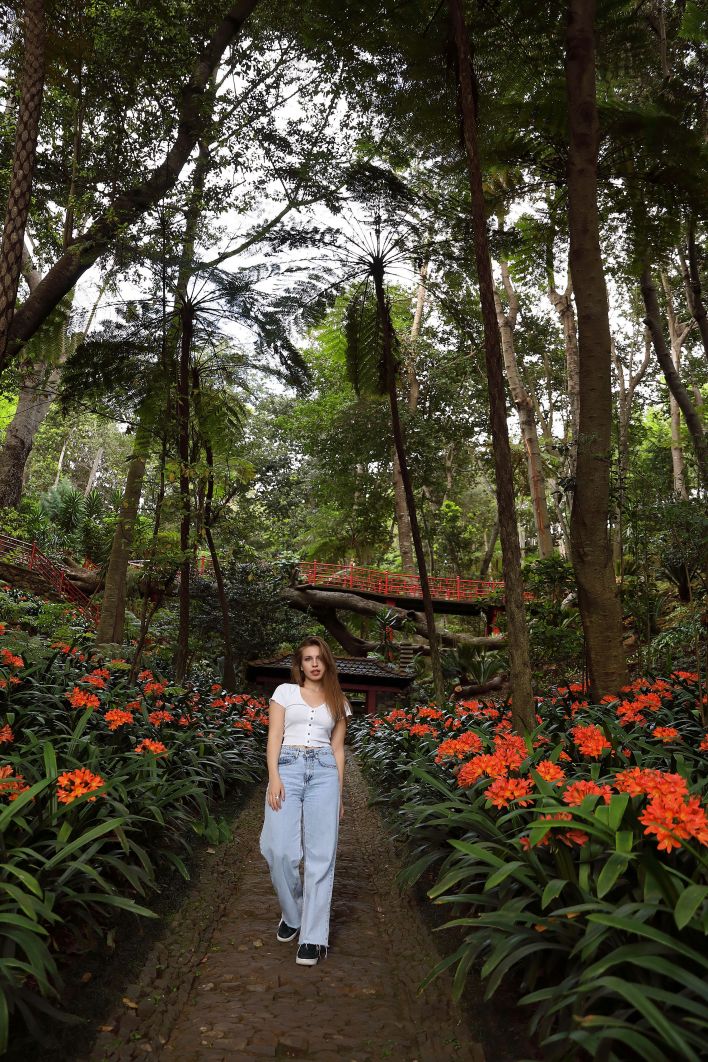 Aristeia in Postcard From Funchal. Thumb 23