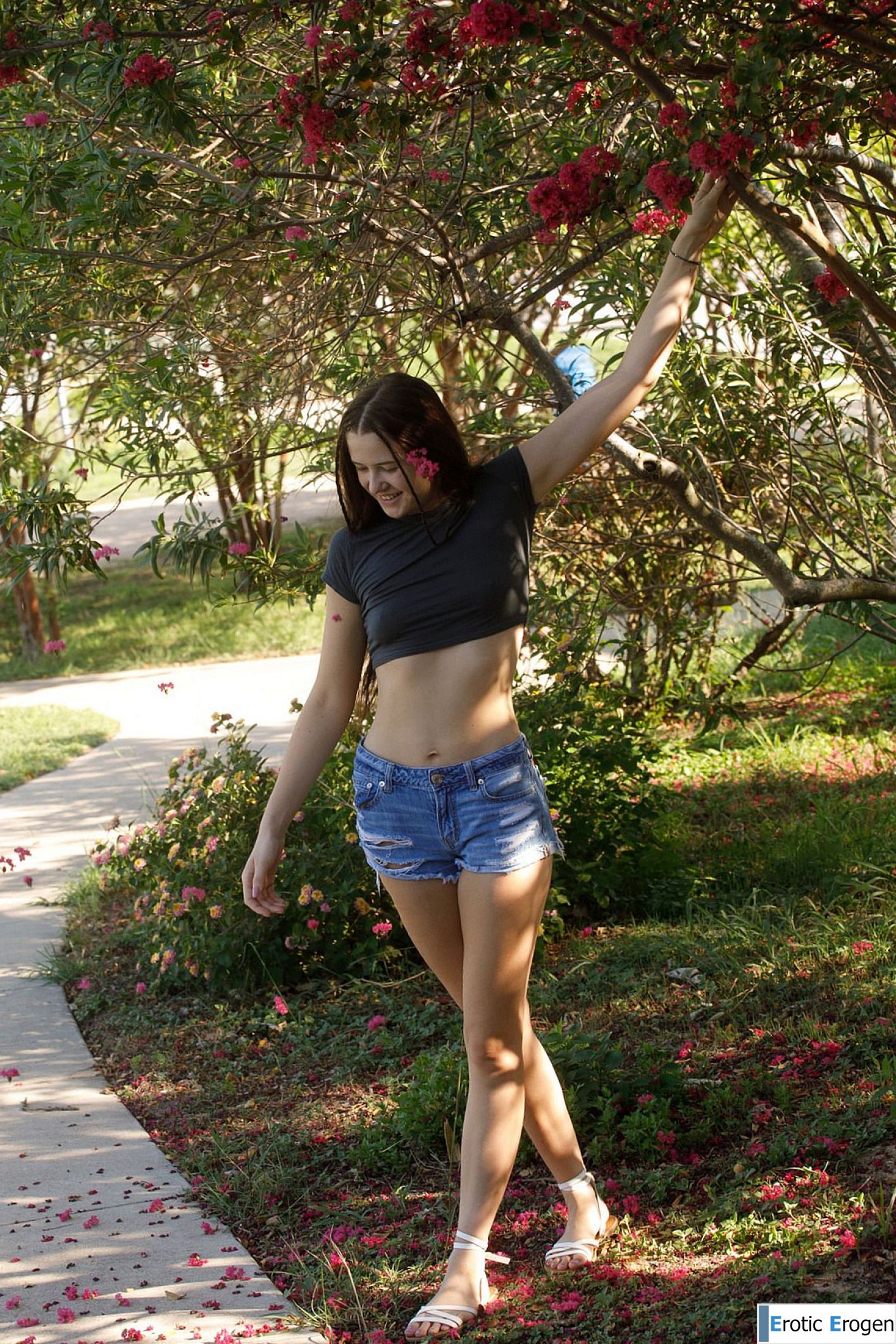 Athena in Heart New Perspectives. Picture 3