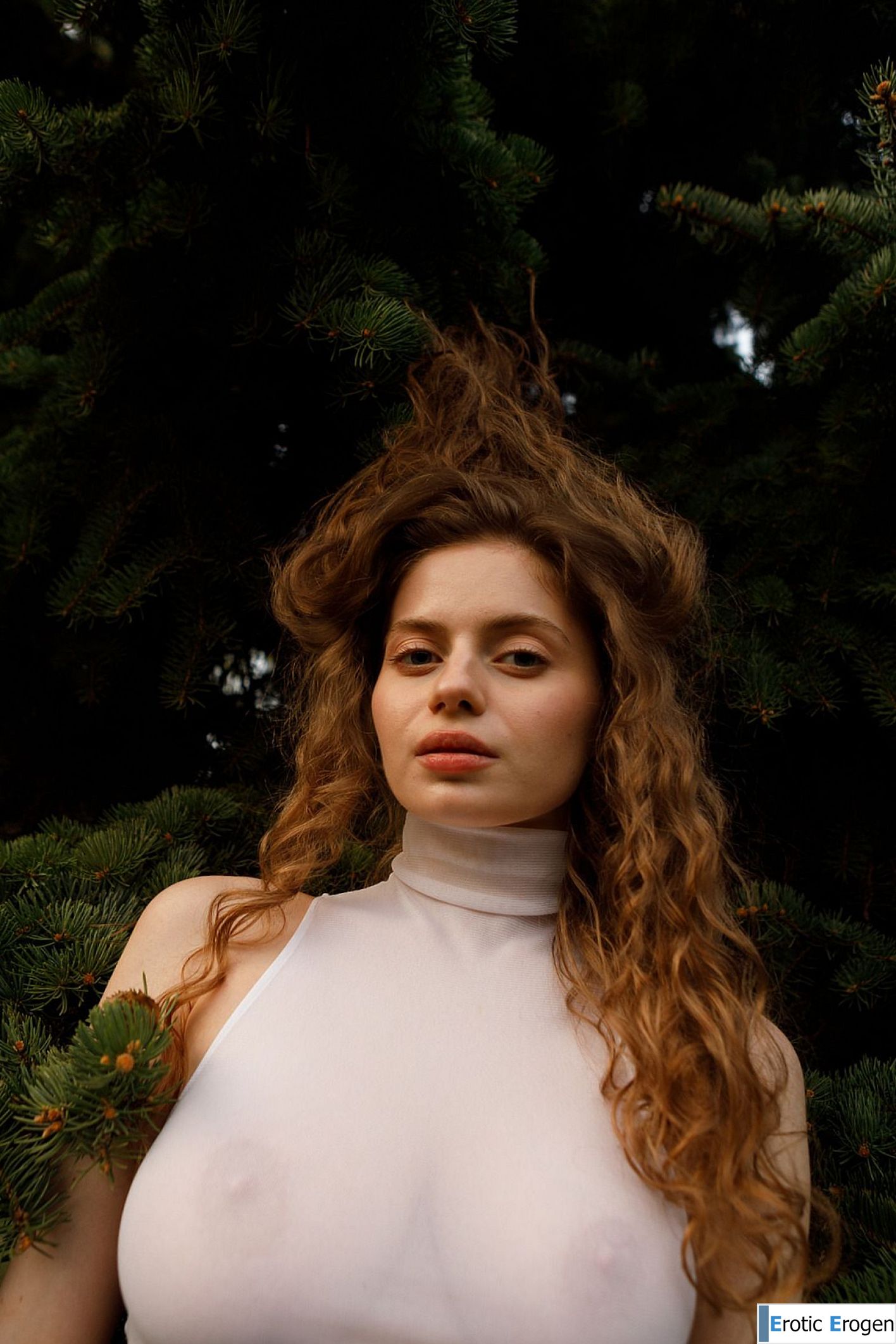 Mitropoliya in Opportunity Ekonomy. Picture 13