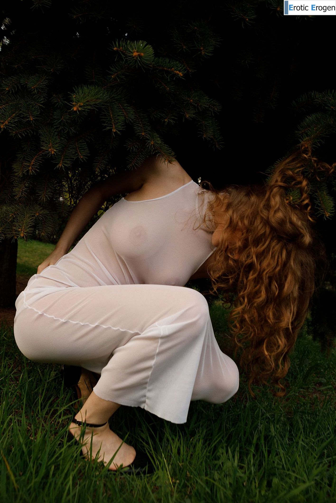 Mitropoliya in Opportunity Ekonomy. Picture 19