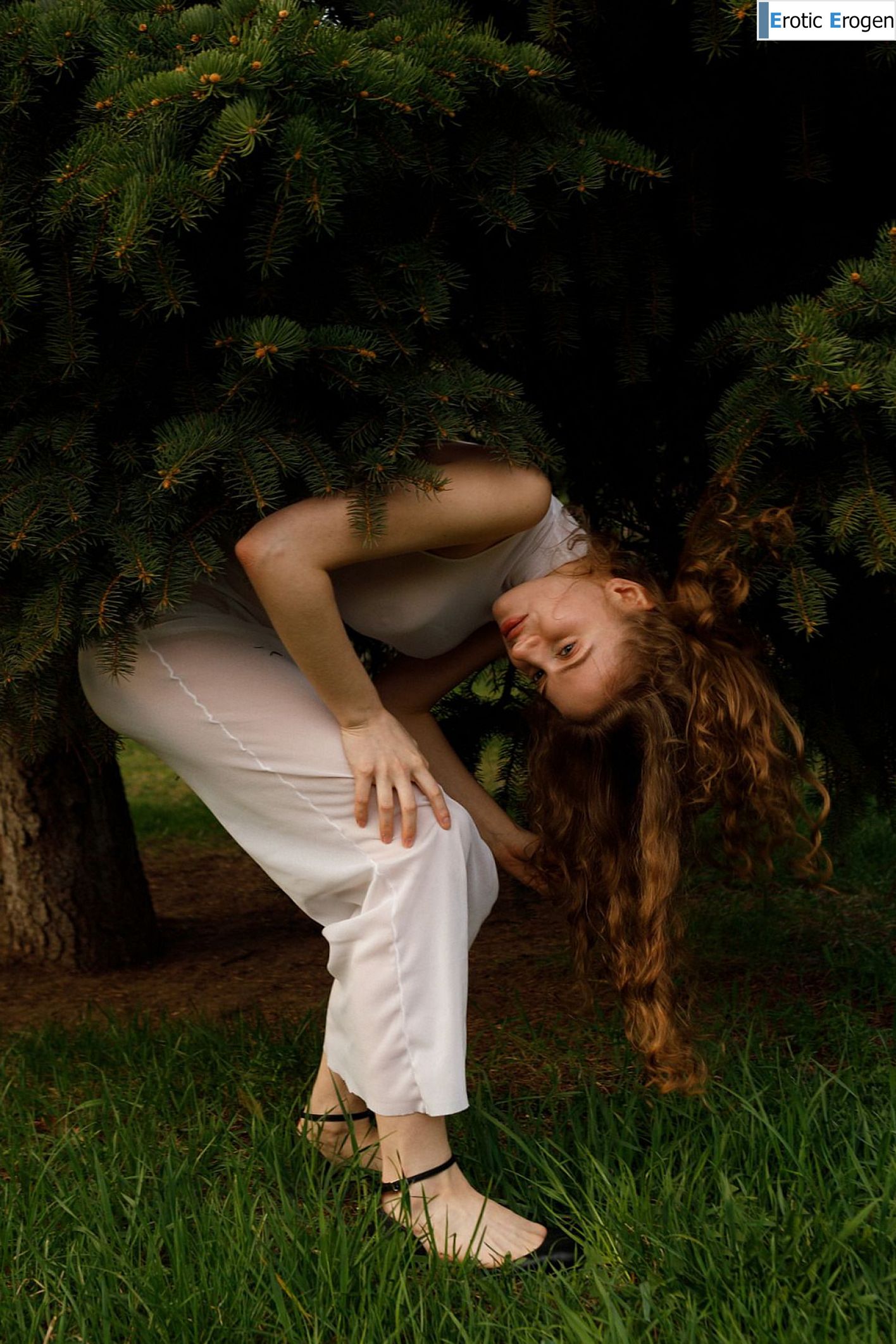 Mitropoliya in Opportunity Ekonomy. Picture 20