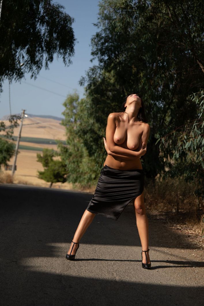 Giselle in Full Metal Point. Thumb 4