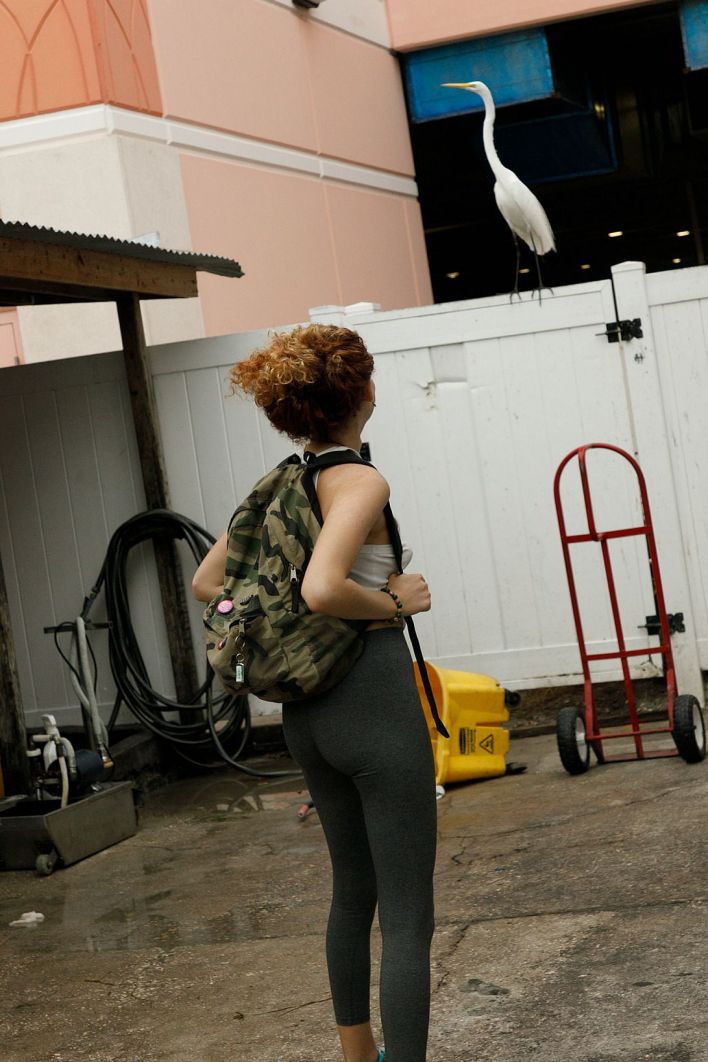 Debra Kenlow in Rare Bird Florida. Thumb 7