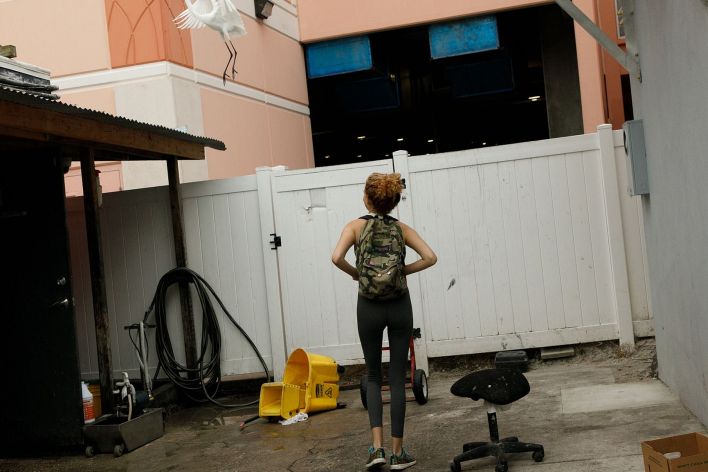 Debra Kenlow in Rare Bird Florida. Thumb 9