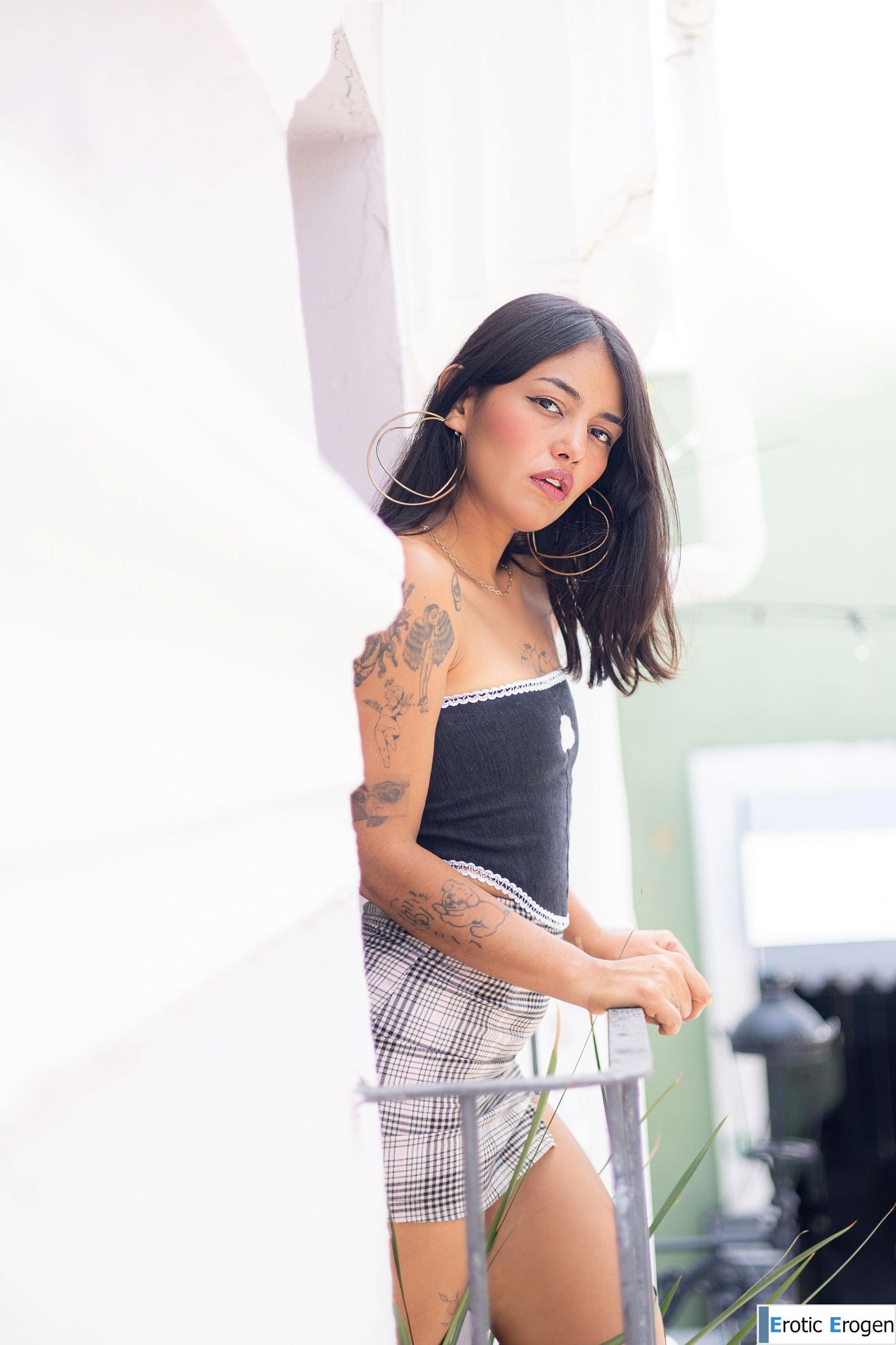 Kharisauria in Rainbow. Picture 1