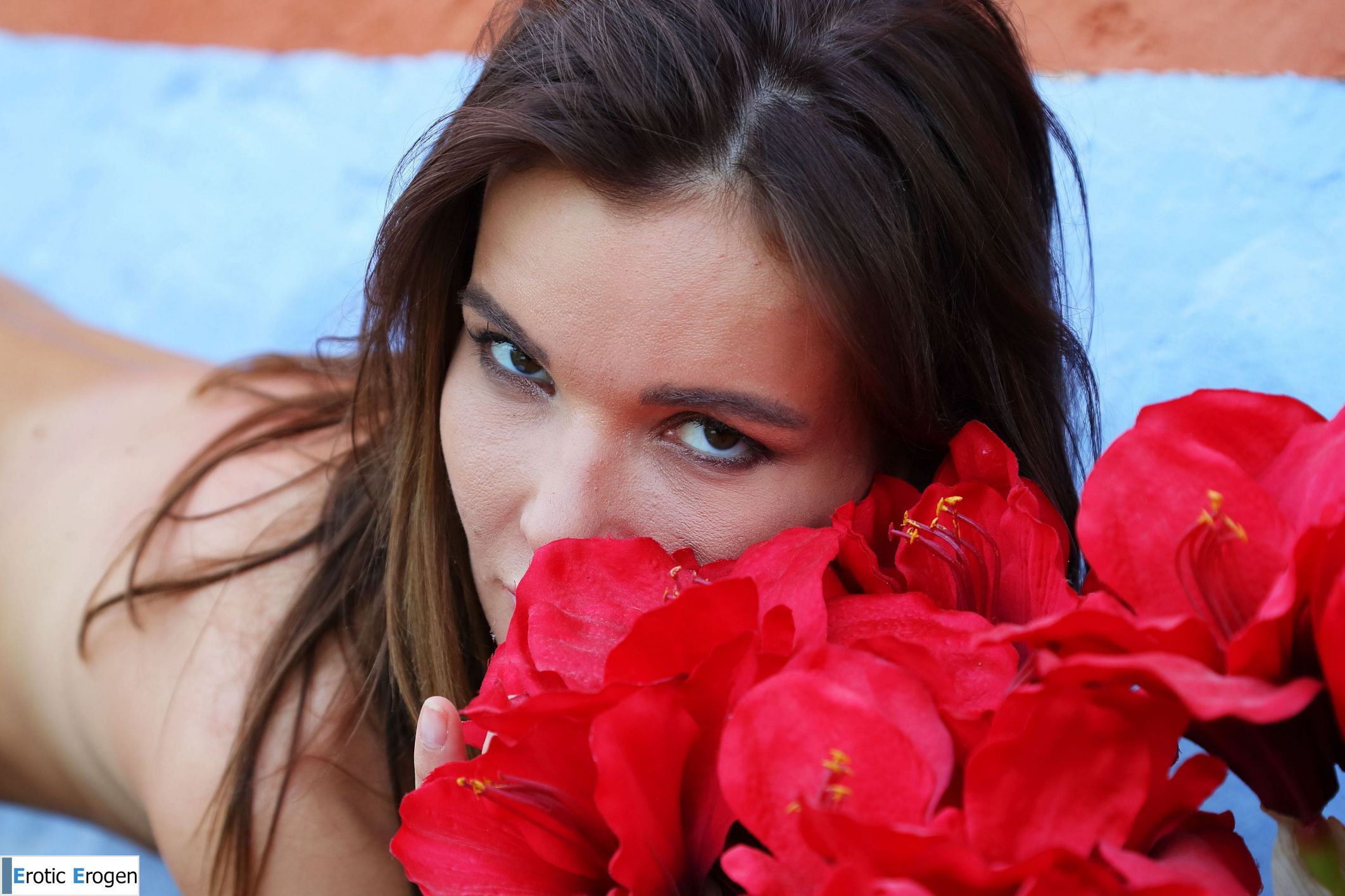 Brit A in Blue Red. Picture 51