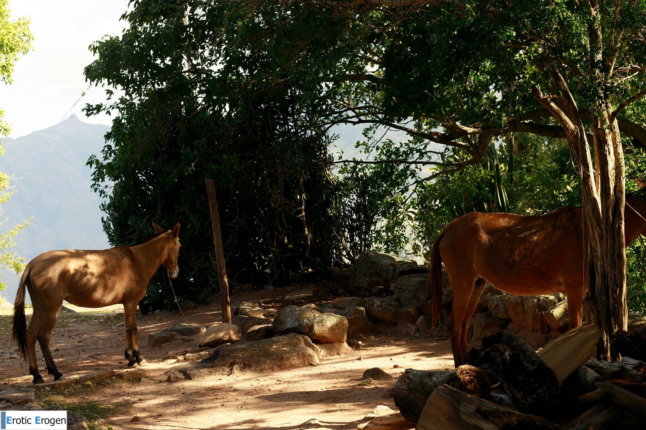 Faith Valles in Faith In Chama. Picture 1