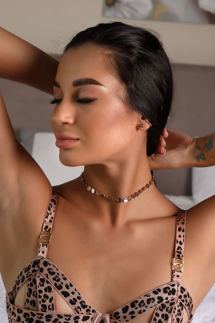 Aria in Animal Attraction. Эскиз 13