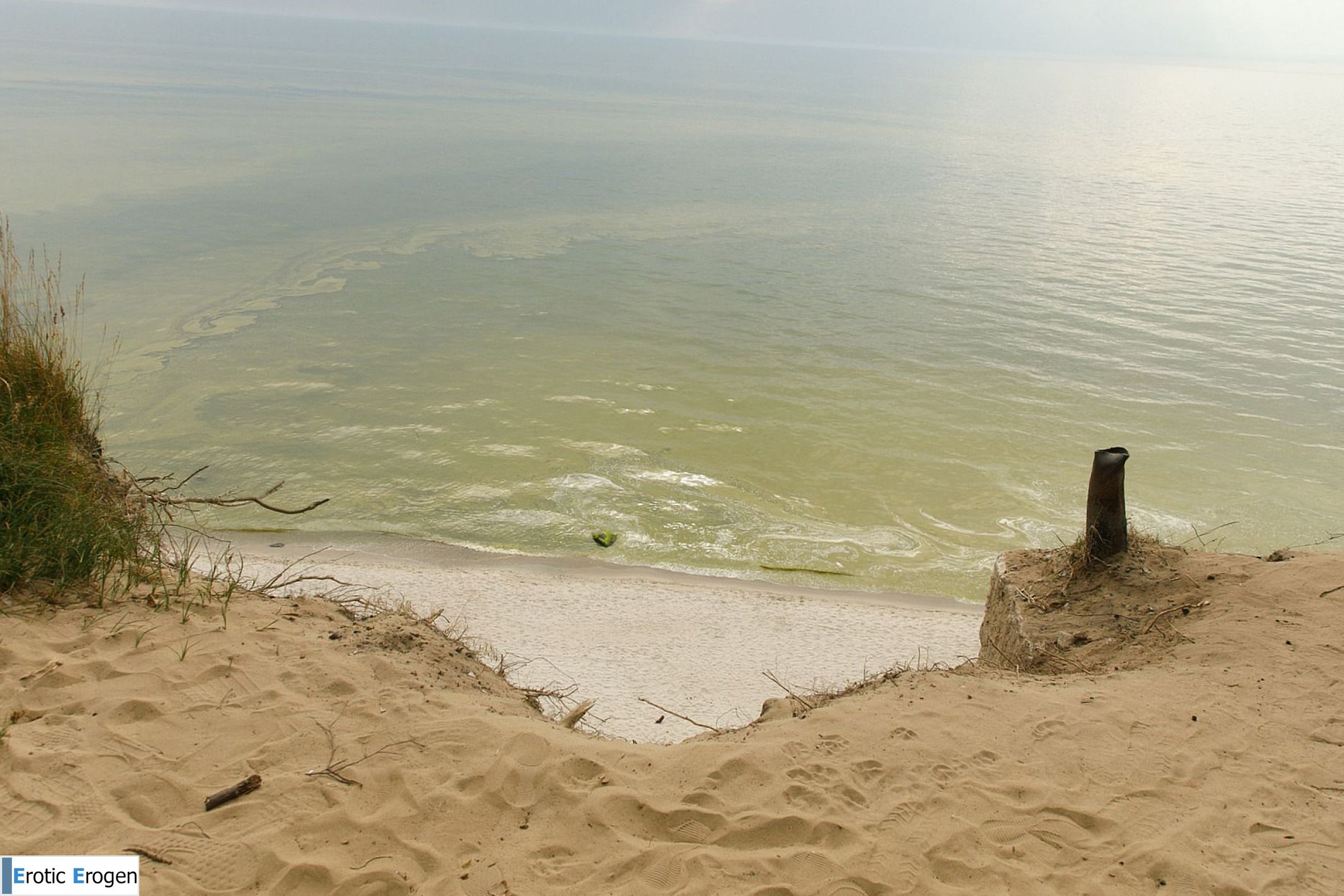 Ariel Gossimer in Tease By The Sea 1. Picture 37