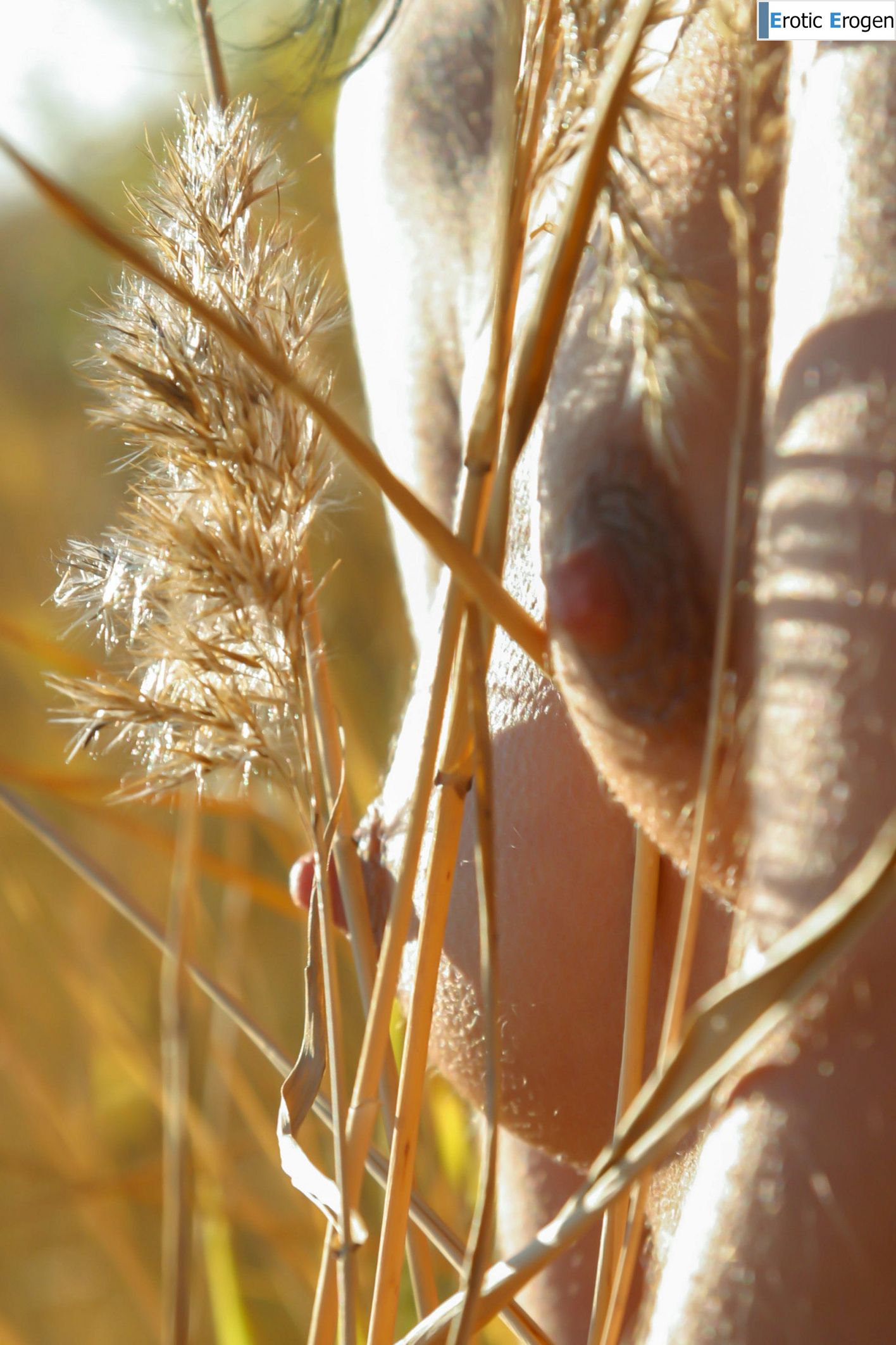 Uriana Z in Dry Branches. Фото 36