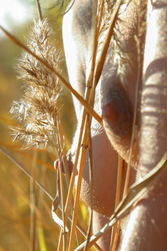 Uriana Z in Dry Branches. Эскиз 36