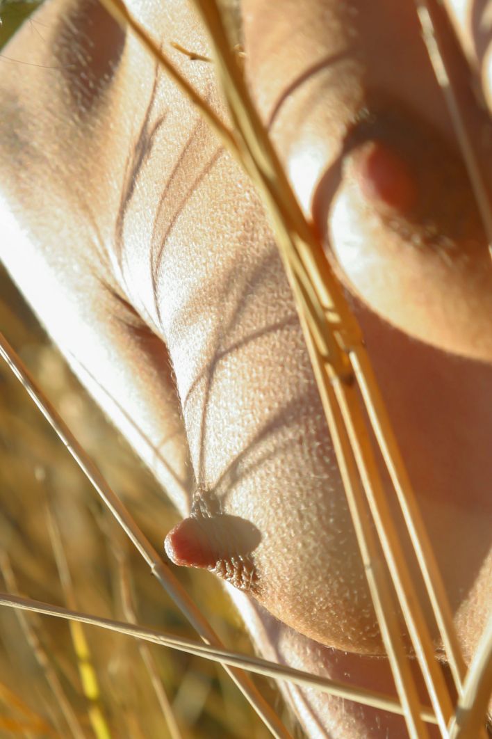 Uriana Z in Dry Branches. Эскиз 37