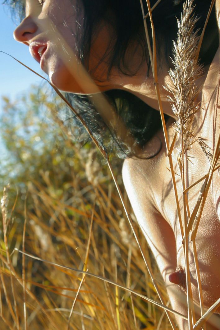 Uriana Z in Dry Branches. Эскиз 38