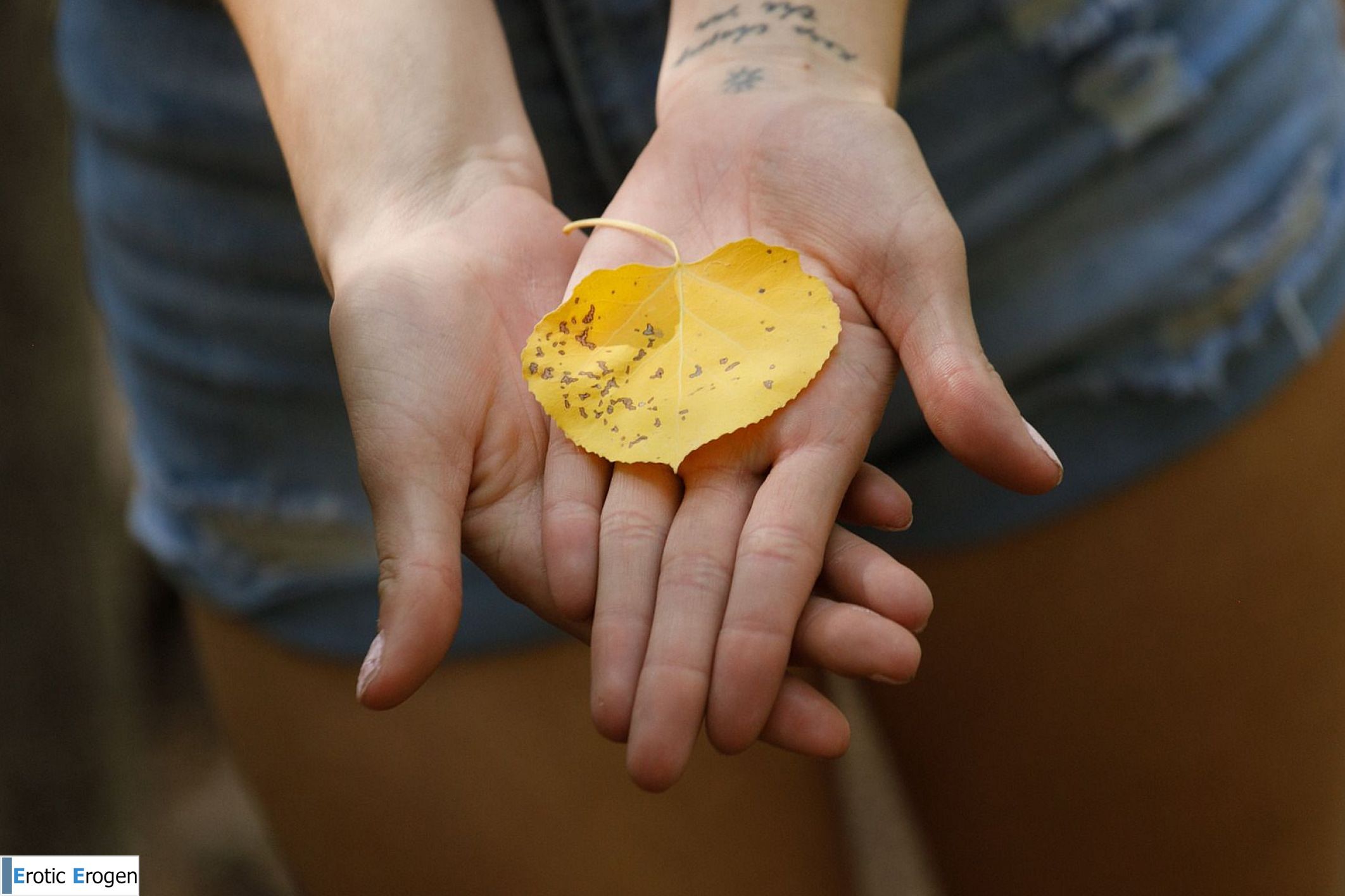  Penelope Kay in Nature Dorks 1. Picture 20