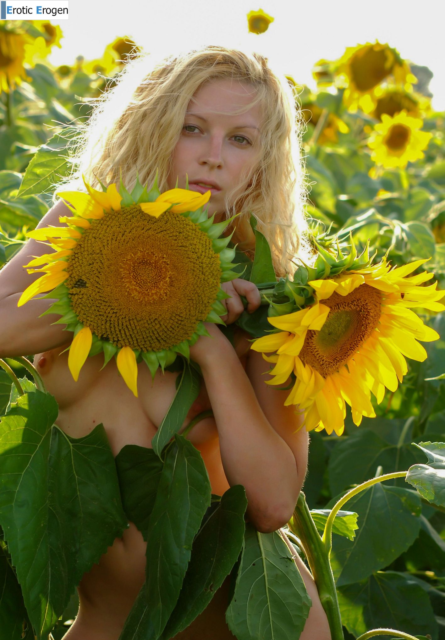 Hypatia K in Big Sunflowers. Picture 46