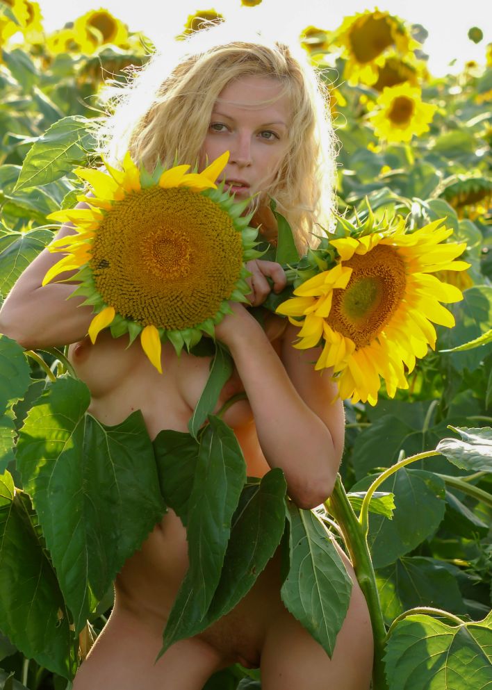 Hypatia K in Big Sunflowers. Thumb 45