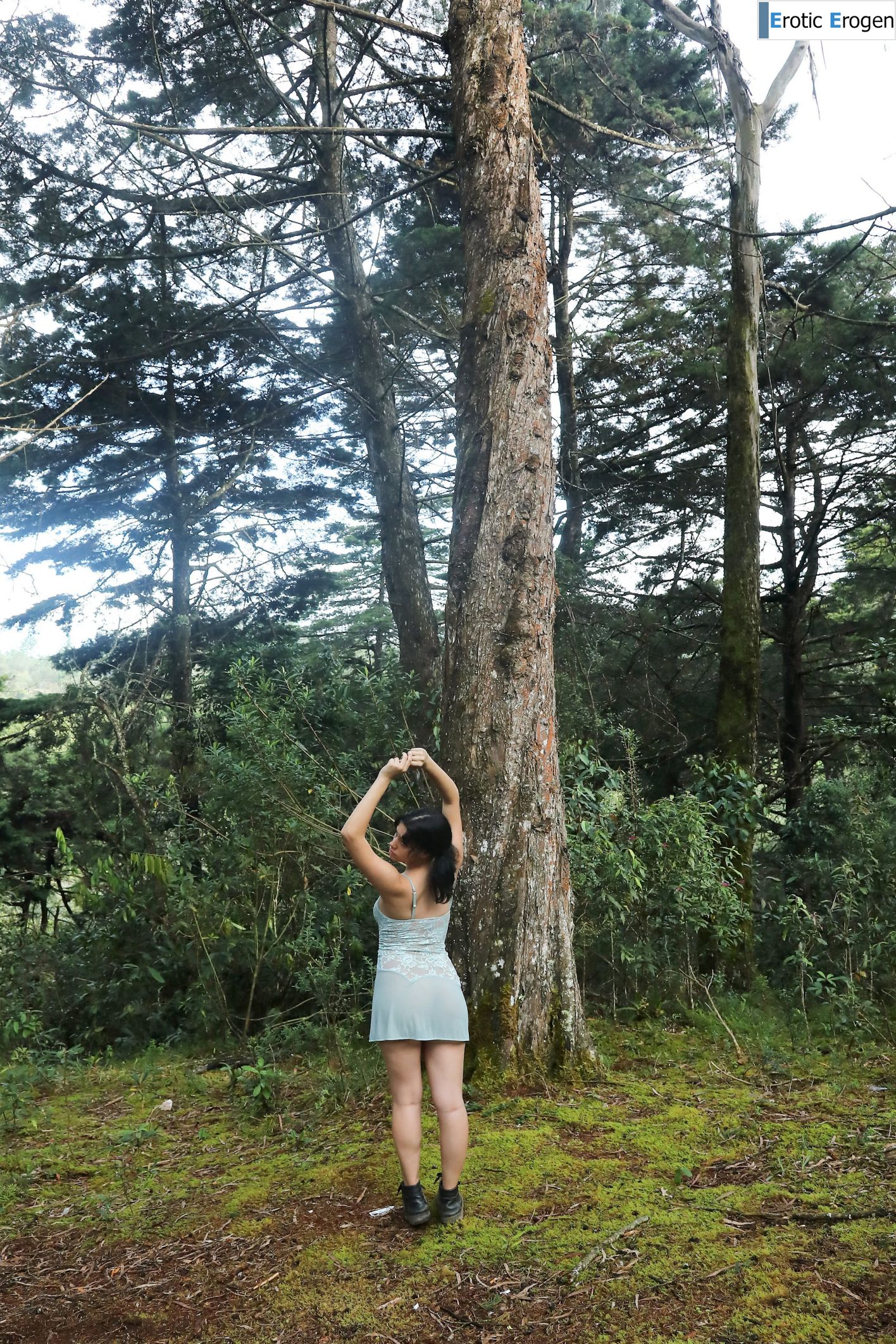 Cazadora in In The Trees. Slide 11
